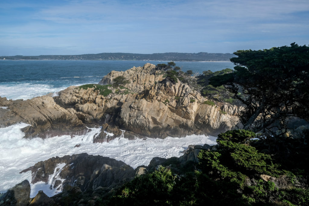 Point Lobos State Natural Reserve | © Sharon Mollerus